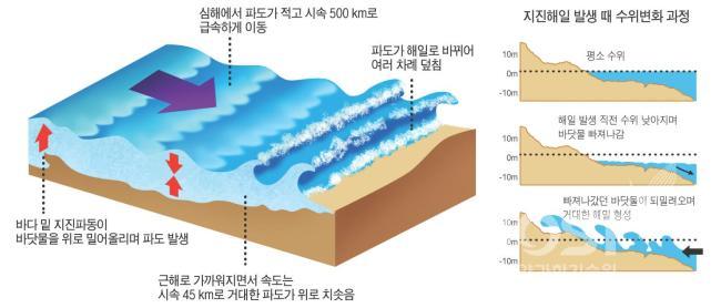 지진해일(쓰나미)발생과정-1 의 사진