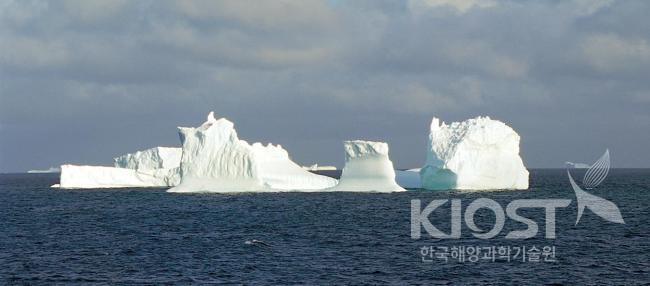 남극반도 부근의 빙붕에서 떨어져 나와 바다를 떠다니는 판상형의 빙상들 의 사진