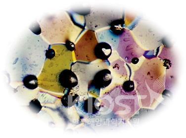 현미경으로 관찰한 얼음 속의 고립된 기포들 의 사진