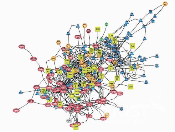 생물학적 대사 시스템의 복잡성 의 사진