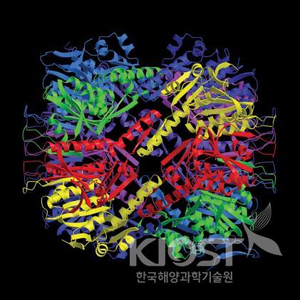 단백질 구조 의 사진