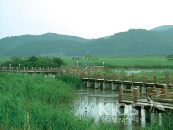 An example of created wetland visited during a project conce 의 사진