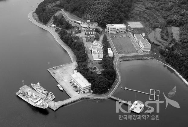한국해양연구원 남해연구소(장목) 항공사진 의 사진