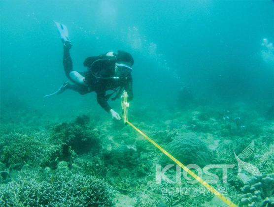 Underwater observation for benthic living resources (Kosrae) 의 사진