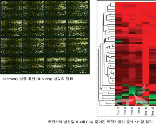 Listing of DNA sequences from E. coli DNA chip, which is res 의 사진