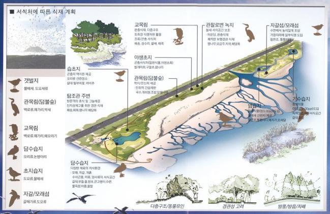 Implementation plan for replacement wetlands 의 사진