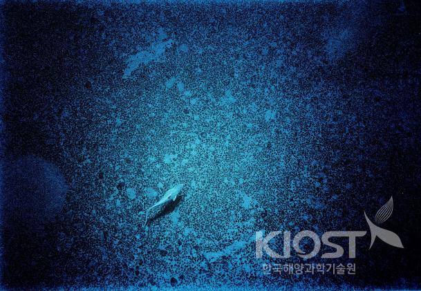 Manganese nodules on he seabed for Korea's mining site locat 의 사진