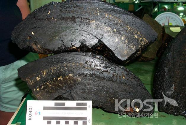 Manganese crust collected from deep sea shelf in southwester 의 사진