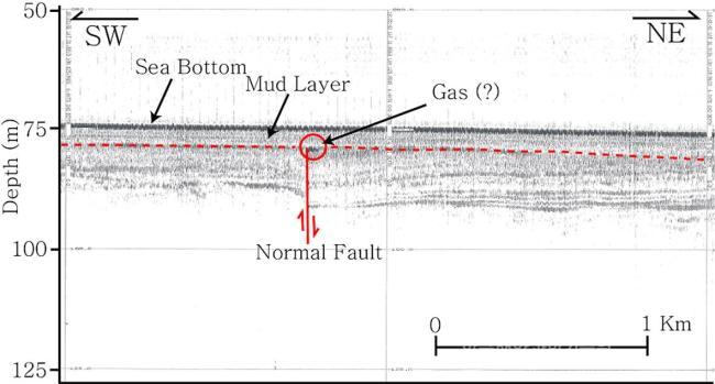 High-resolution seismic profile 의 사진
