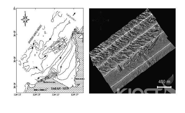 Seafloor morphology of sand-ridge deposit in the shallow Yel 의 사진