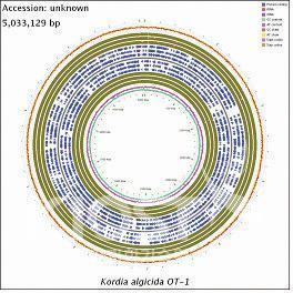 적조생물 살상세균의 유전체 지도 의 사진