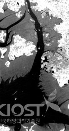 염하수로 주변 지형 변화에 대한 위성 정보 의 사진