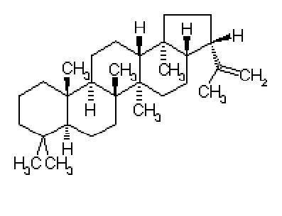 디플로텐의 분자구조 의 사진