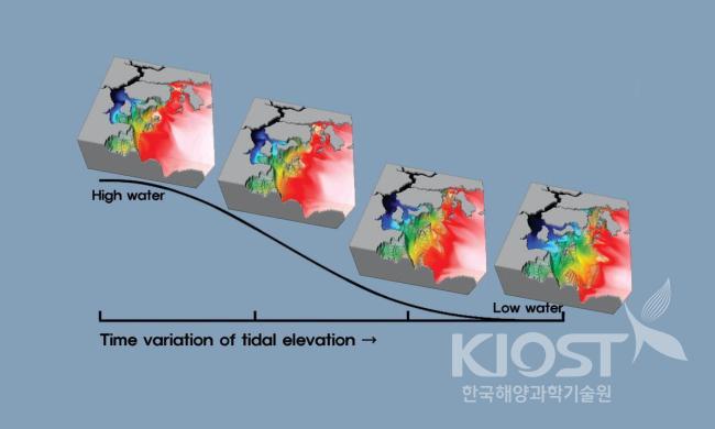 A visualization of the model-generated salinity distribution 의 사진