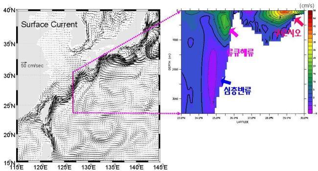 3차원 변분동화기법을 적용한 북서태평양 해양순환 모의 결과 의 사진
