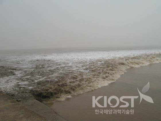 중국 전당강의 조석보어 의 사진