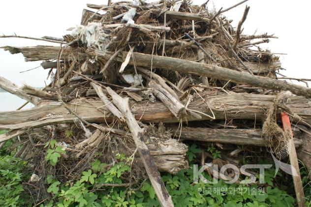 하구둑에 모인 통나무류를 건져서 쌓아놓은 모습 의 사진