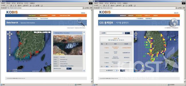 한국 해양생물 지리정보 시스템 화면 의 사진