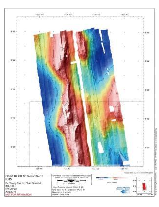 태평양 심해저 광물자원개발의 대표구역 정밀 해저지형 의 사진