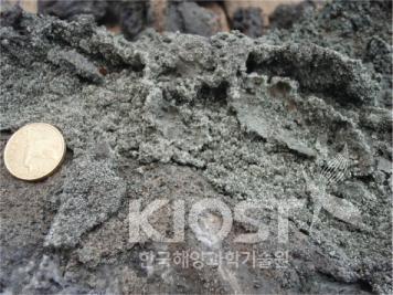 해저열수광상 암석시료-(d)괴상의 황철석 의 사진