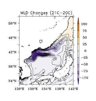 동해 혼합층 깊이 미래변화(21C-20C)의 공간분포 의 사진
