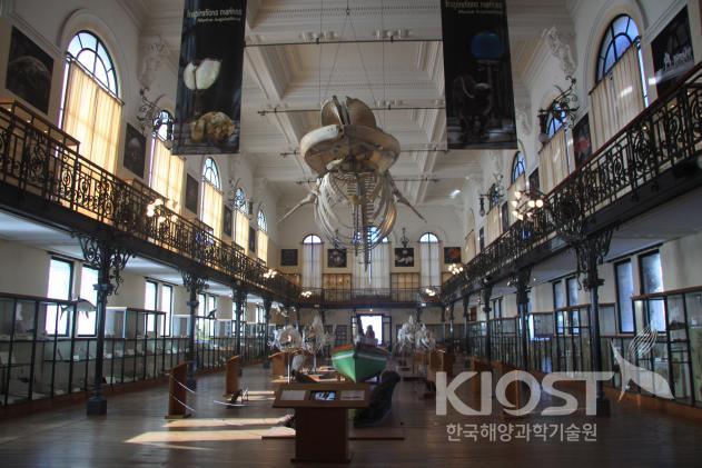 모나코해양박물관 전시실 내부 의 사진