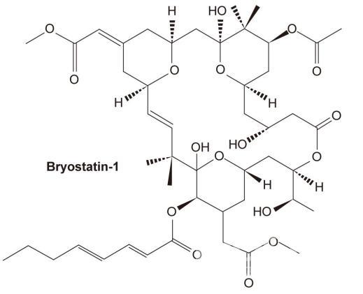 항암물질 Bryostatin을 생성하는 이끼벌레 Bugula neritina의 사진 의 사진