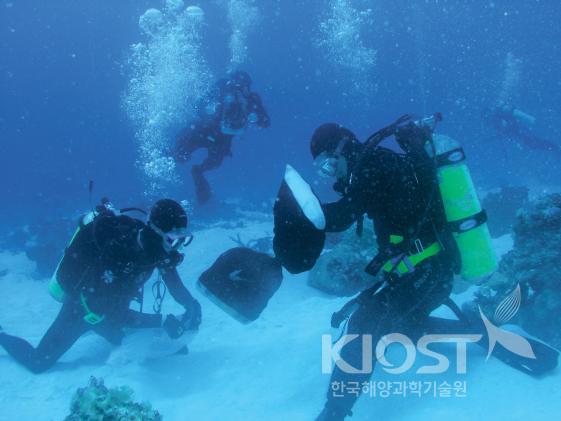 환경영향조사 환경감시를 위해 연구자가 직접 잠수를 통해 지질 및 생태계 조사를 수행한다. 의 사진
