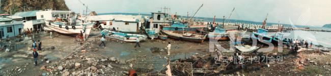 임원항 지진해일 피해 의 사진