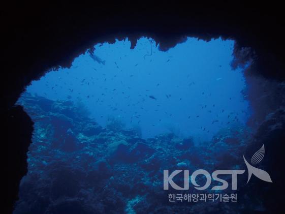 다양한 해저 지형을 가진 팔라우의 다이빙 포인트 의 사진