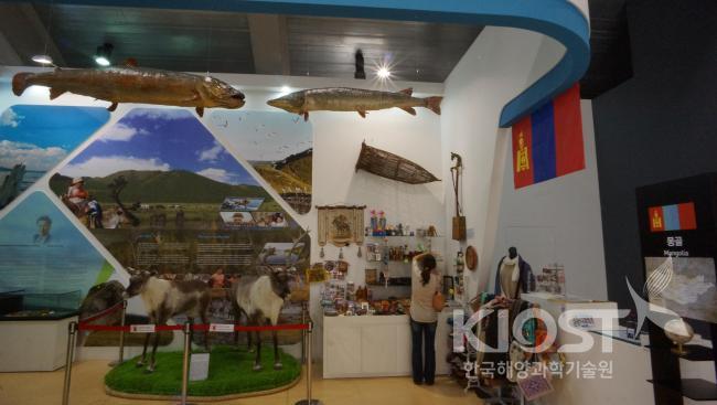 태평양관 박예올 의 사진