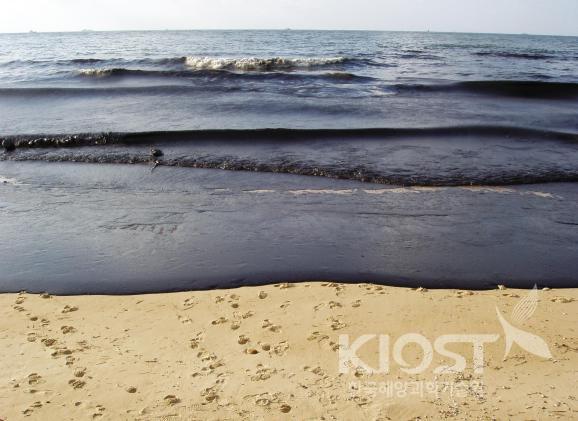 허베이스피리트호 기름 유출 사고 의 사진