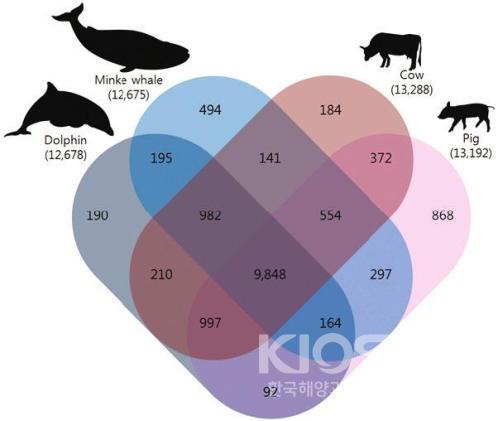 고래와 우제류의 비교 유전체 의 사진