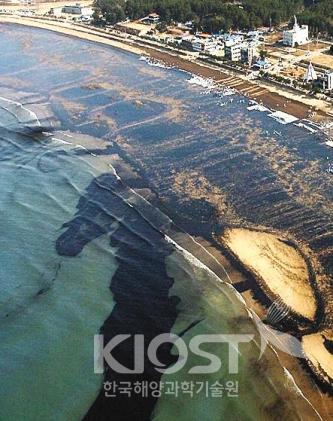 유출 기름에 뒤덮힌 만리포해수욕장 의 사진