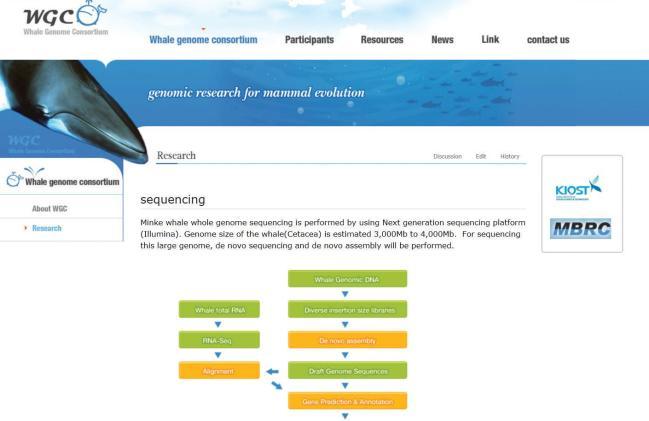 고래 게놈 프로젝트 컨소시엄의 홈페이지 운영을 통한 국제 공동 연구 의 사진