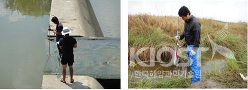 시화호 유역에서의 오염물질 유입량조사 의 사진