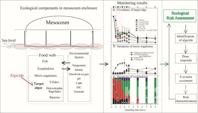 중형폐쇠생태계(mesocosm) 을 활용한 살조물질의 생태학적 위해성 평가 과정 의 사진