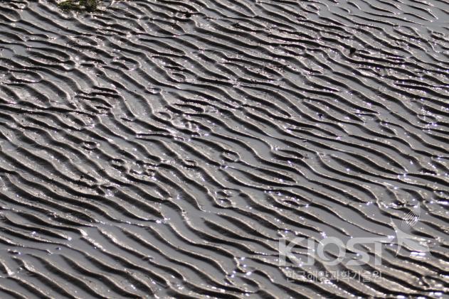 전라북도 고창 갯벌에 파도가 만들어 놓은 물결무늬 의 사진