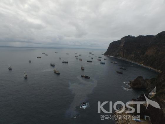 울릉도에 피항 중인 중국 어선의 폐기름 유출(2015.12) 의 사진