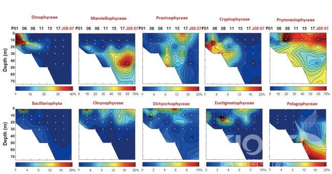 동서관측선의 초미소 진핵식물플랑크톤의 주요분류군별 시퀀스 점유율 의 사진