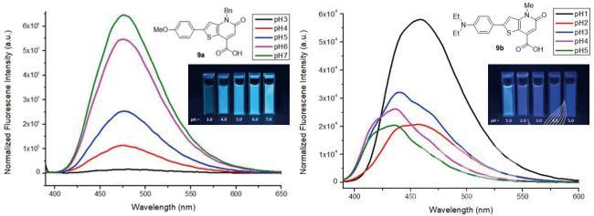 KIOST-fluor 형광파장의 pH와 용매극성에 대한 의존성2 의 사진