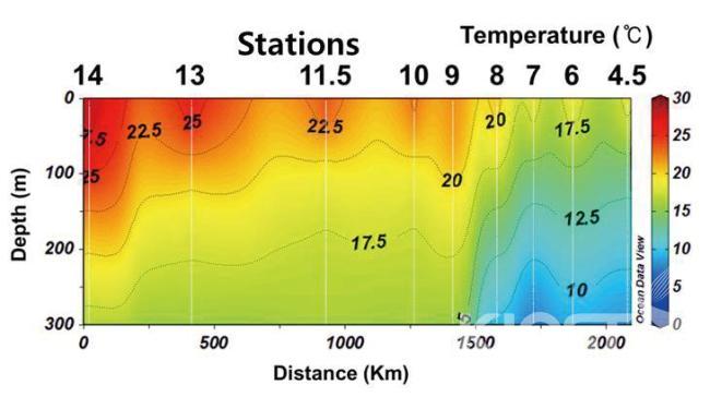 남북방향 정점에서 관측된 표층 수온, 염분, 염록소, 영양염 분포 의 사진