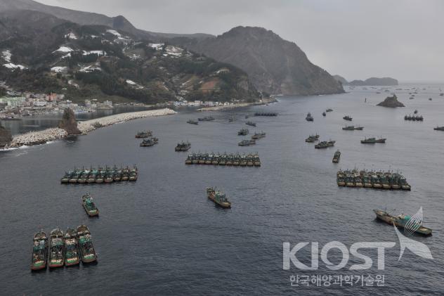 울릉도 연안에 피항 중인 중국 어선 의 사진