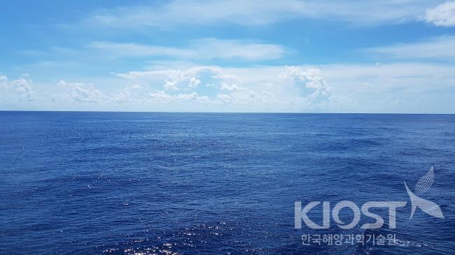 이사부호에서 본 바다 풍경(대양) 의 사진